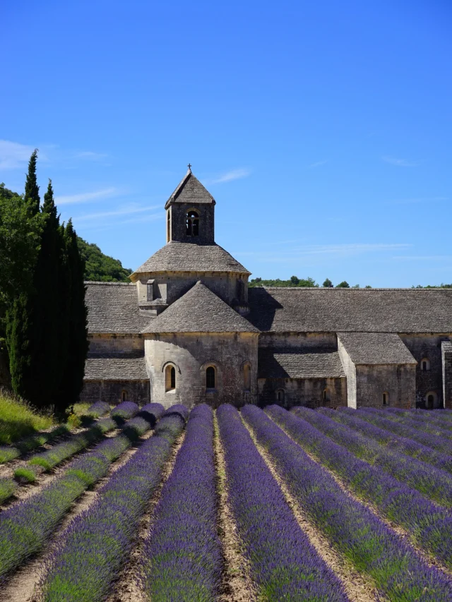 10 surprising things you didn’t know about France! ♥